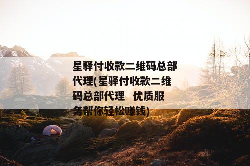 星驿付收款二维码总部代理(星驿付收款二维码总部代理  优质服务帮你轻松赚钱)