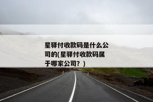 星驿付收款码是什么公司的(星驿付收款码属于哪家公司？)