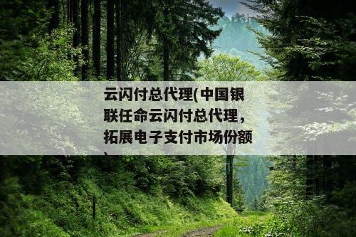 云闪付总代理(中国银联任命云闪付总代理，拓展电子支付市场份额)