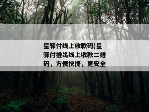 星驿付线上收款码(星驿付推出线上收款二维码，方便快捷，更安全)