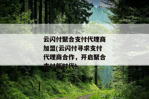 云闪付聚合支付代理商加盟(云闪付寻求支付代理商合作，开启聚合支付新时代)