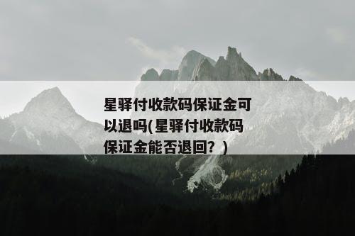 星驿付收款码保证金可以退吗(星驿付收款码保证金能否退回？)