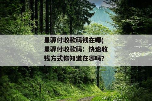 星驿付收款码钱在哪(星驿付收款码：快速收钱方式你知道在哪吗？)