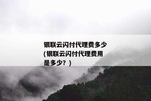 银联云闪付代理费多少(银联云闪付代理费用是多少？)