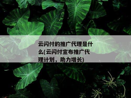 云闪付的推广代理是什么(云闪付宣布推广代理计划，助力增长)