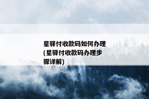 星驿付收款码如何办理(星驿付收款码办理步骤详解)