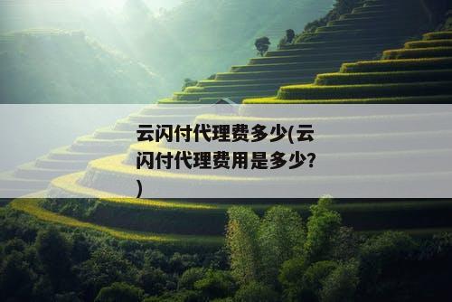 云闪付代理费多少(云闪付代理费用是多少？)