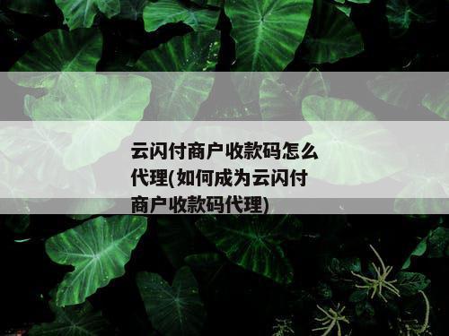 云闪付商户收款码怎么代理(如何成为云闪付商户收款码代理)